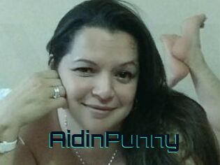AidinPunny