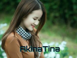 AkinaTina