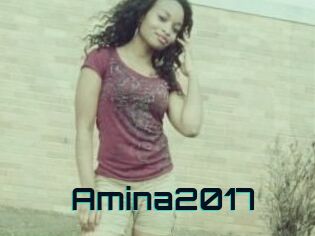 Amina2017