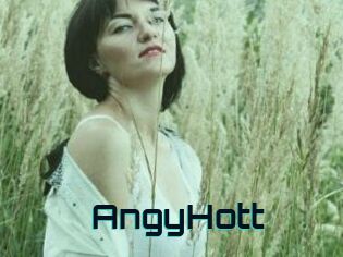 AngyHott