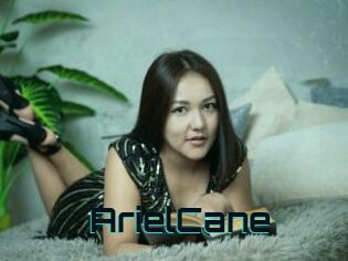 ArielCane