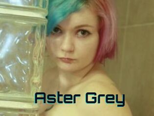 Aster_Grey