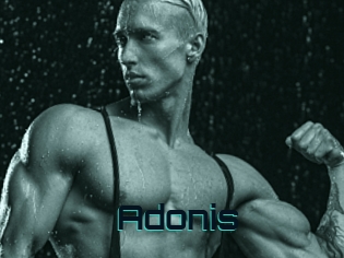 Adonis_