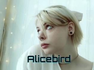 Alicebird