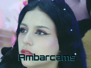Ambarcams