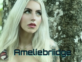 Ameliebriidge