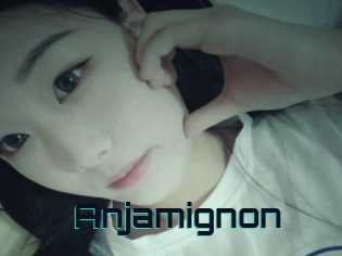 Anjamignon