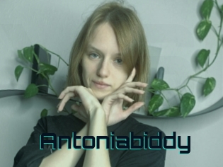 Antoniabiddy