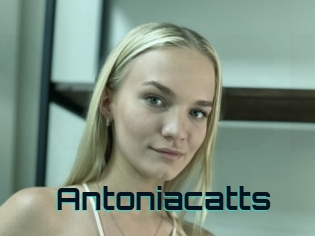 Antoniacatts