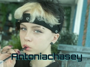 Antoniachasey