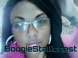 BougieStallionest