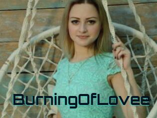 BurningOfLovee