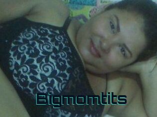 Bigmomtits