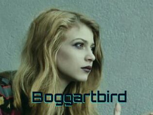 Boggartbird