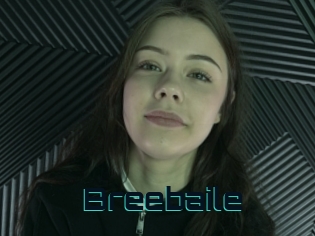 Breebaile