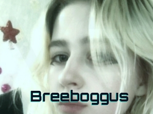 Breeboggus