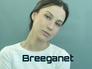 Breeganet