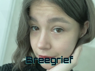 Breegrief