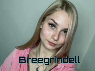 Breegrindell