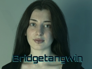 Bridgetangwin