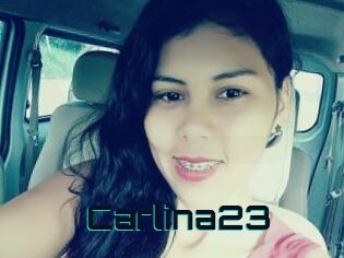 Carlina23