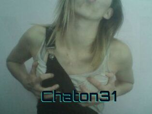 Chaton31