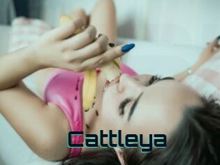 _Cattleya