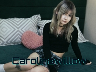 Carolinawillow