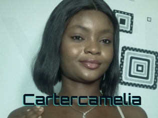 Cartercamelia