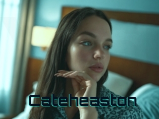 Cateheaston