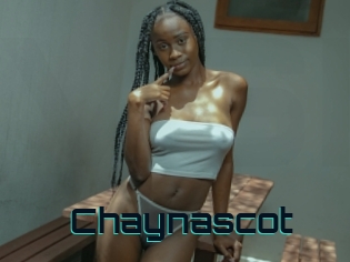 Chaynascot