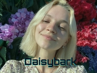 Daisybark