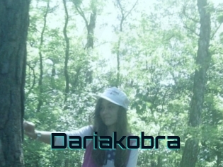 Dariakobra