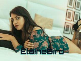 ElaineBird