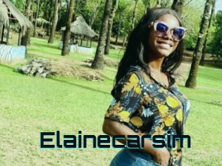 Elainecarsim