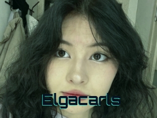 Elgacarls