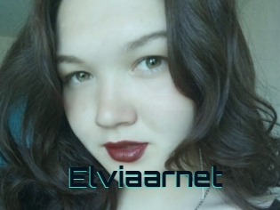 Elviaarnet
