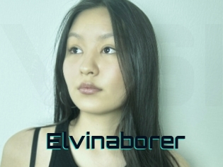 Elvinaborer