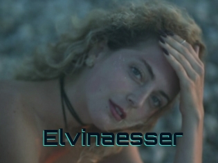 Elvinaesser