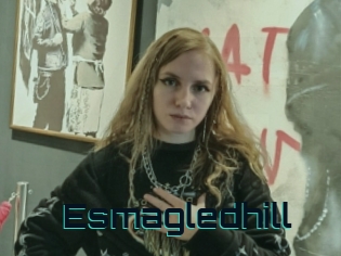 Esmagledhill