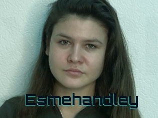 Esmehandley