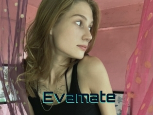 Evamate