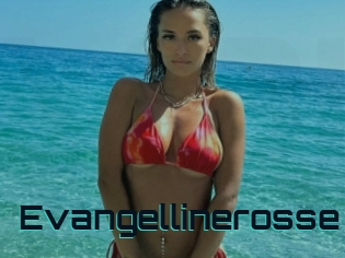 Evangellinerosse