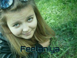 Feelaniya