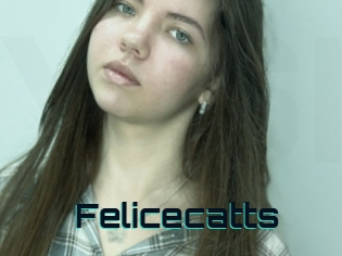 Felicecatts