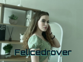 Felicedrover