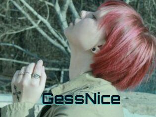 GessNice