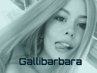 Gallibarbara