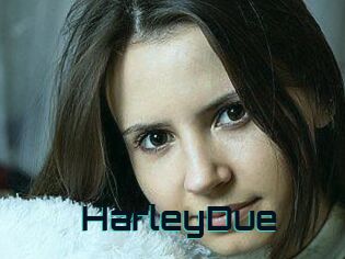Harley_Due
