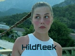 Hildfleek